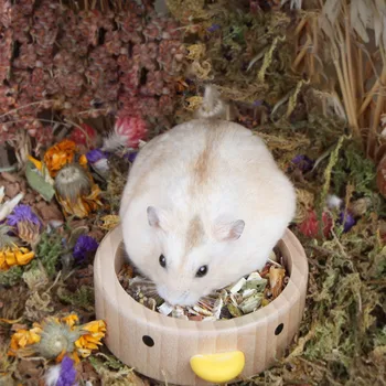 Hamster besleme kasesi Küçük Pet katı ahşap Kase Ördek Ahşap Oyuncak Altın Ayılar Hayvan Kafesi Dekoratif Malzemeleri Kuş besleme kasesi