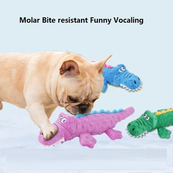 Köpekler kağıt oyuncaklarla ses çıkarır çiğnemeye dayanıklı azı dişleri peluş oyuncaklar ve kendini tebrik eden evcil hayvanlar