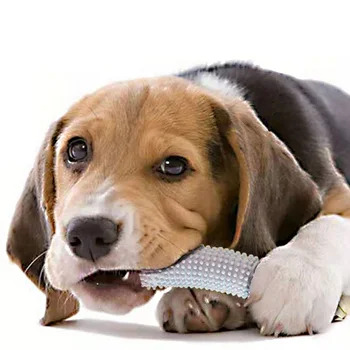 Küçük Köpekler için Pet Oyuncaklar Kauçuk Isırmaya Dayanıklı Köpek Oyuncak Diş Temizleme Çiğnemek Eğitim Oyuncaklar Yavru Köpekler Kediler Pet Malzemeleri